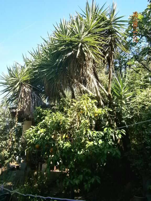 Albergo Il Cantuccio Bolano Luaran gambar
