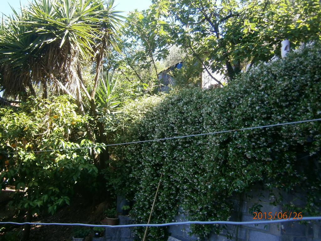 Albergo Il Cantuccio Bolano Luaran gambar